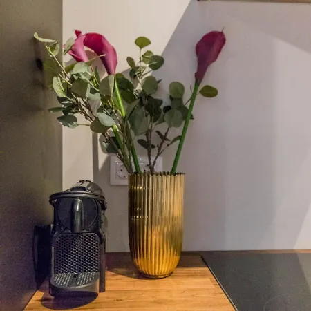 아파트 True Gem Downtown Next To Synagogue And Gozsdu Garden Area 부다페스트